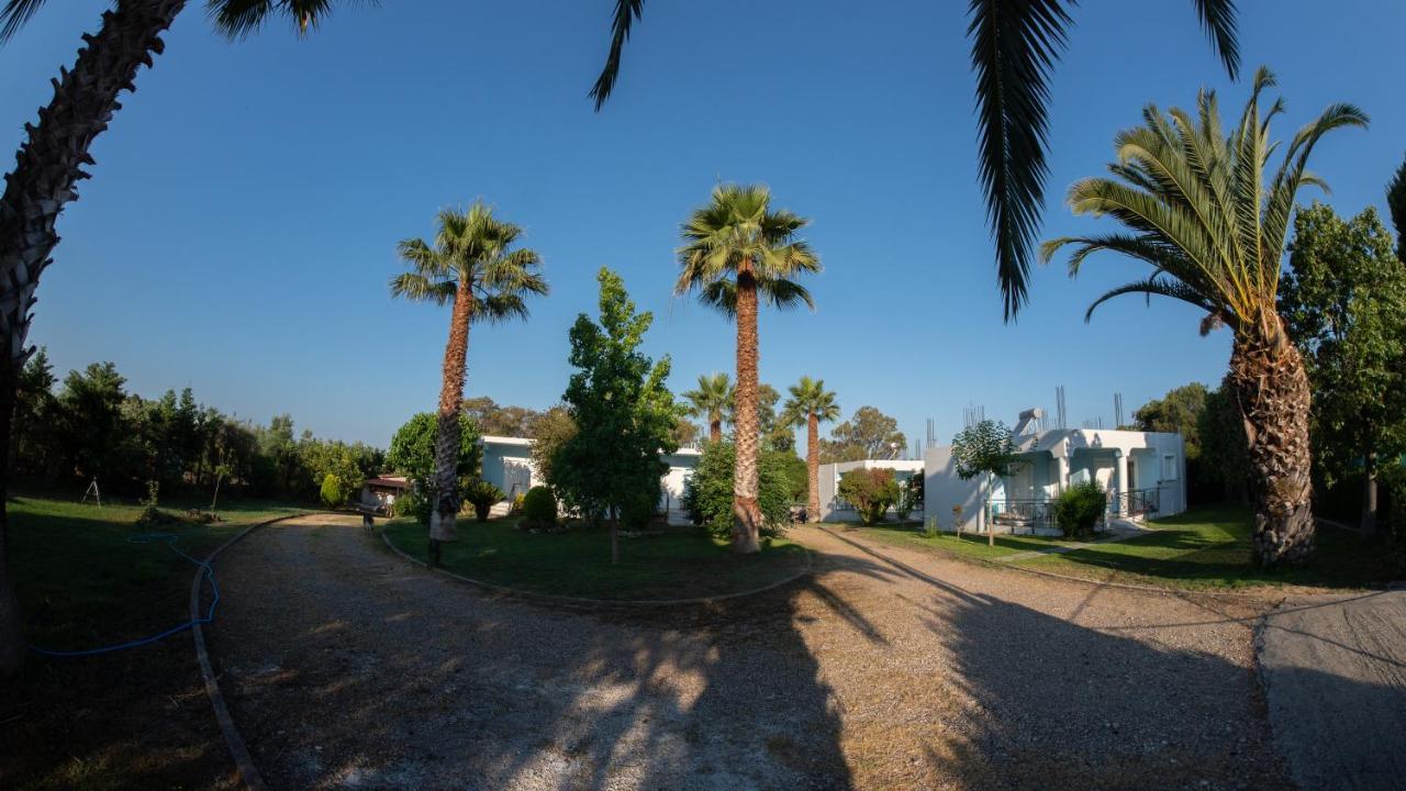 Goldener Strand3-4 Apartment *